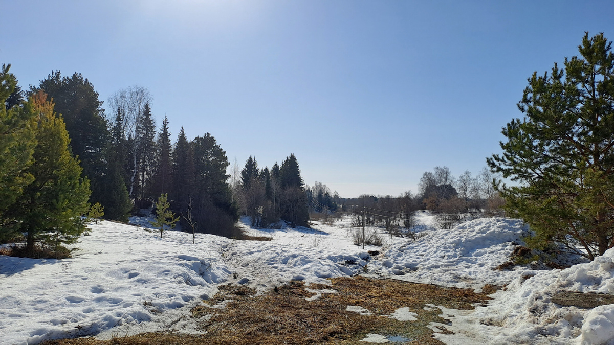 Вот так сейчас выглядит полянка у обрыва. Небольшая проталина есть с лужами (туда не заходили), а так в основном еще снег (здесь и далее все фото сделаны автором статьи)