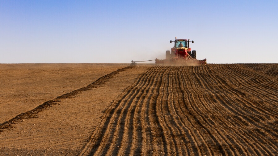     В Беларуси засеяно 37% площадей ранних яровых культур