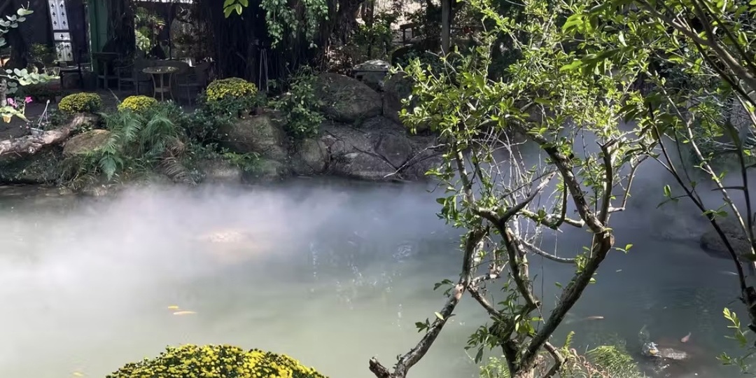 Скрытая жемчужина Нячанга The Fairy Forest