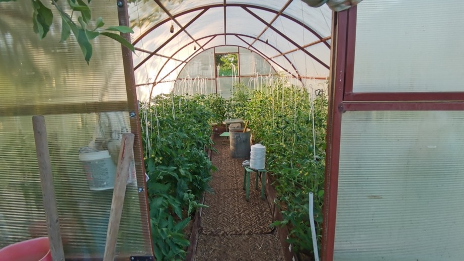 Агроволокно снижает температуру внутри теплицы на 3-5 градусов