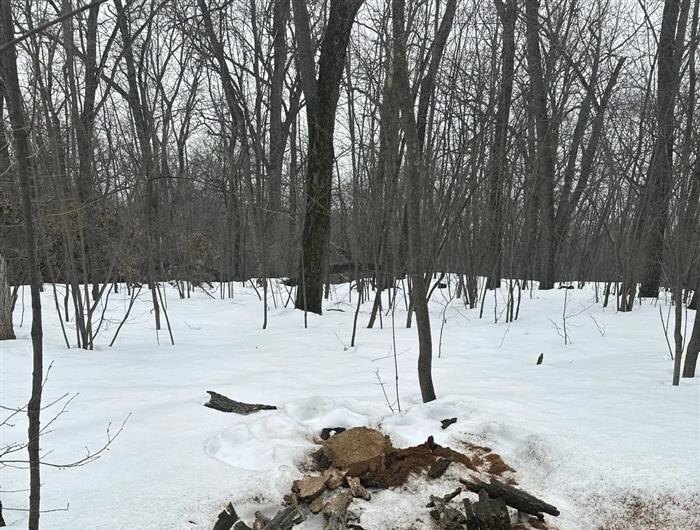    ФОТО: Минприроды Самарской области