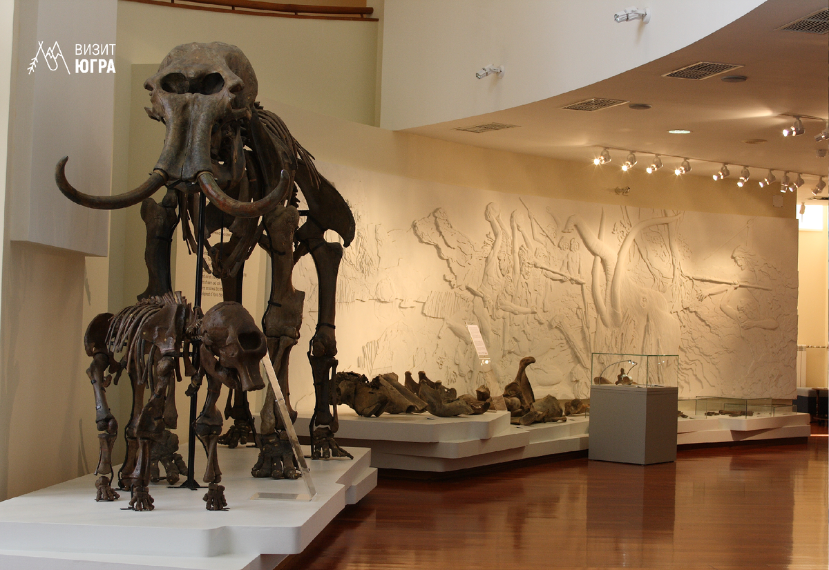 Фото: Музей природы и человека