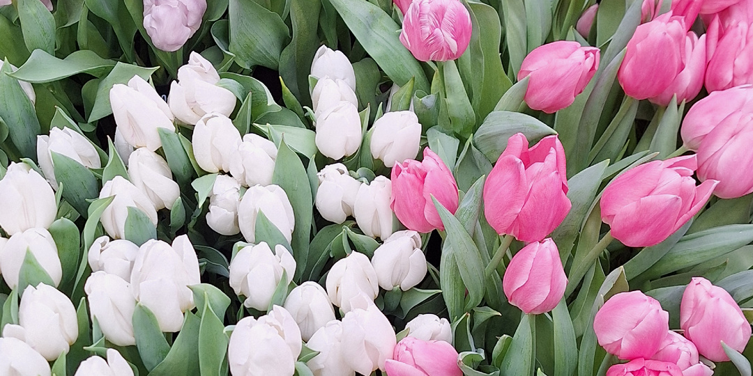 Красивое начало моего романтического фэнтези. Часть 1.