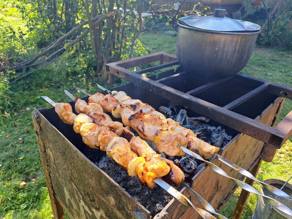 Жарить шашлыки все же разрешат, но с определенными ограничениями.  Фото: ФедералПресс / Вера Романескул