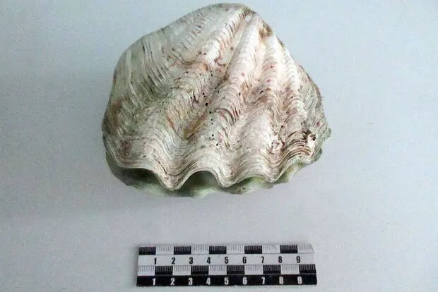    Источник: lenta.ru/ Андрей