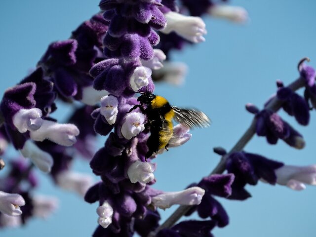   Фото: ТАСС/Zuma