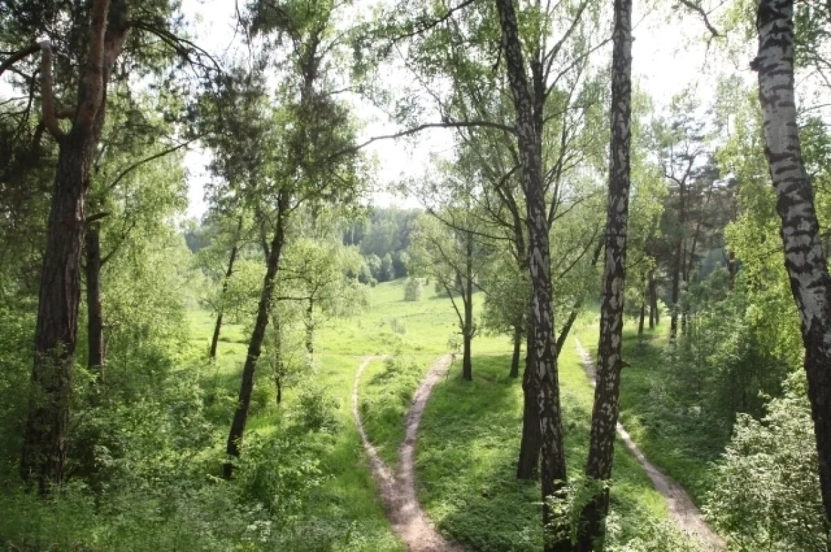    В Можайском овраге в Калуге создадут туристическую зону за миллиард рублей