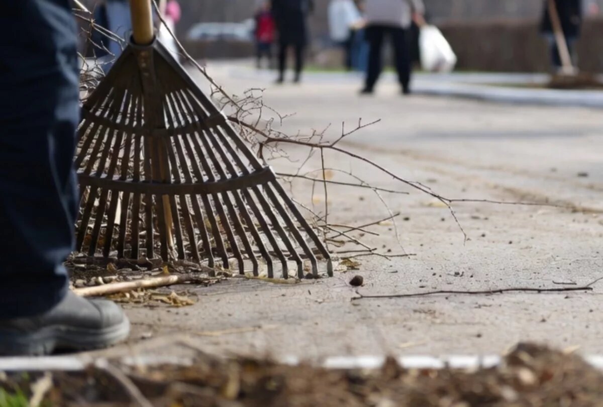    Петропавловск будут приводить в порядок на еженедельных субботниках