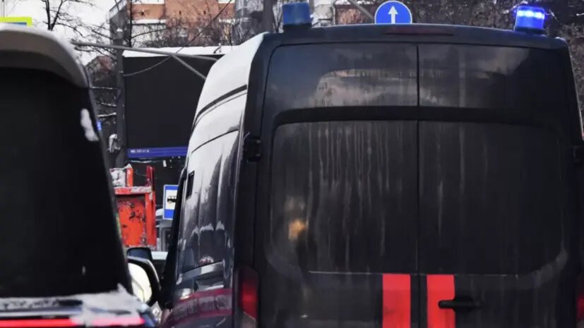    Источник: russian.rt.com Елизавета Кошелева