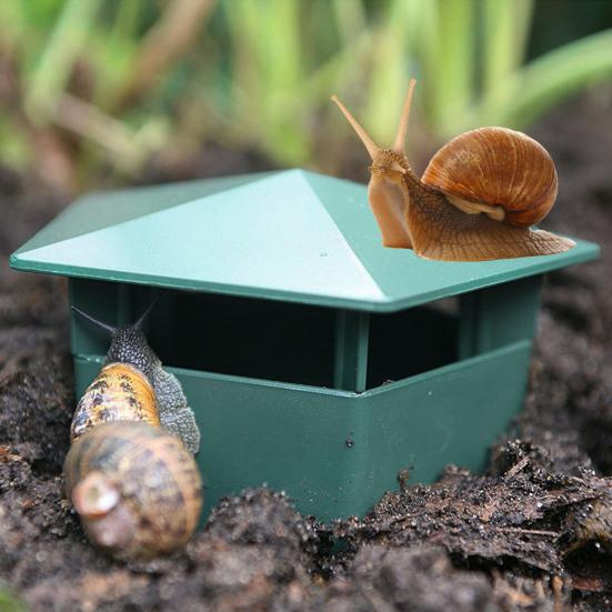 Ловушки для слизней вкапывают, чтобы в них можно было забраться, но не выбраться
