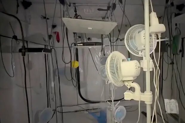    Источник: lenta.ru/ Михаил Козлов