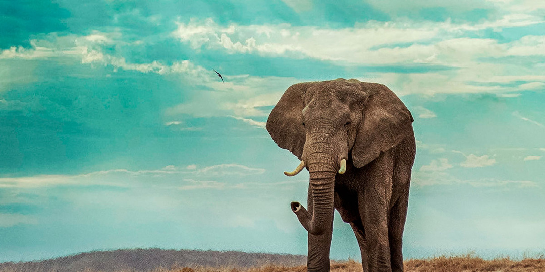 Никто никому ничего не должен: 6 правил, которые изменят ваши отношения с миром