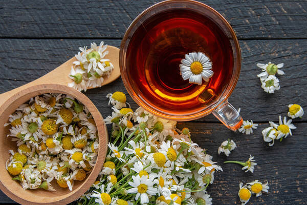 Roman_studio/Shutterstock/FOTODOM   📷