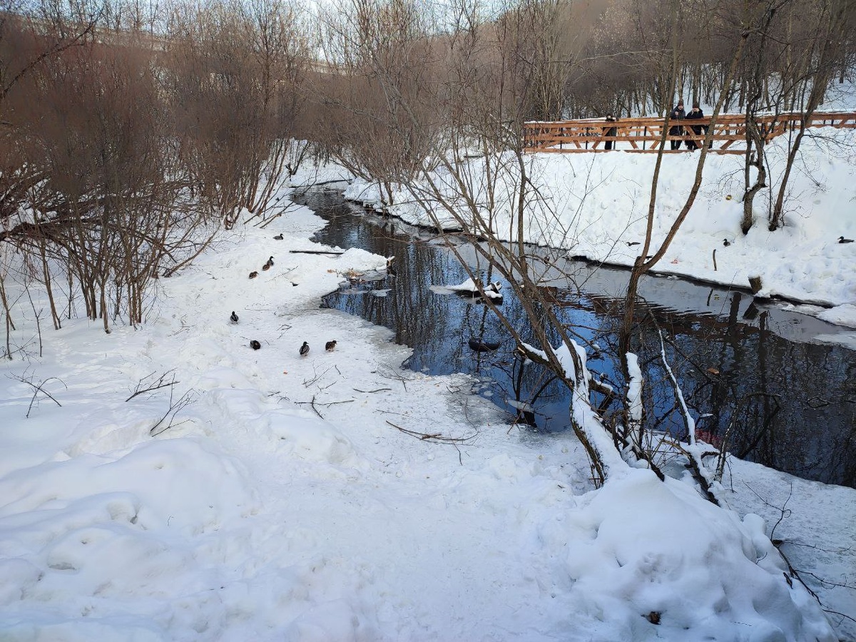    © Алёна Бронникова