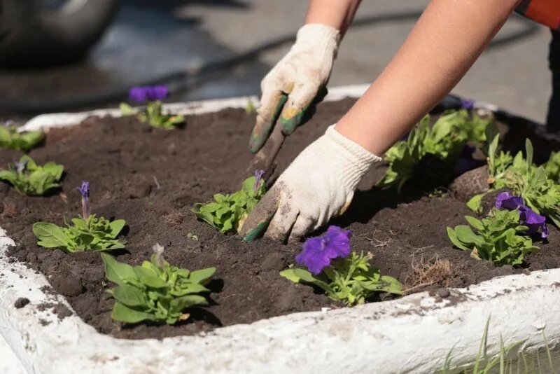     © фото - администрация Курска