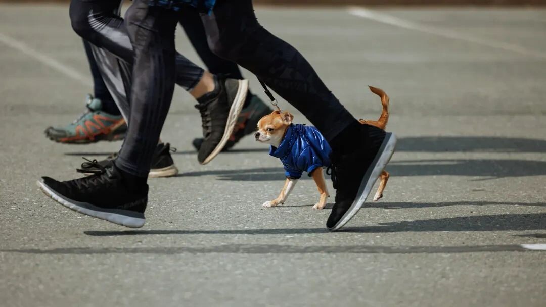    Фото: Сергей Зубков / «Ямал-Медиа»