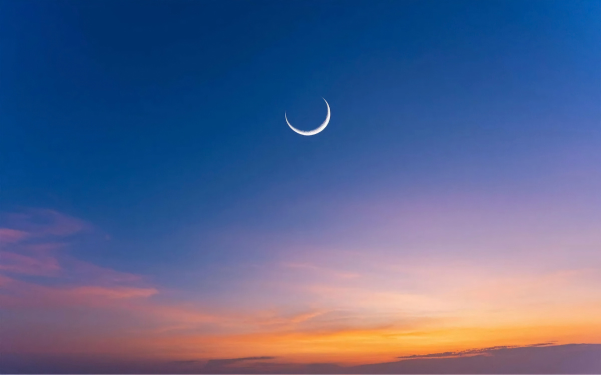 Изображение из открытых источников 