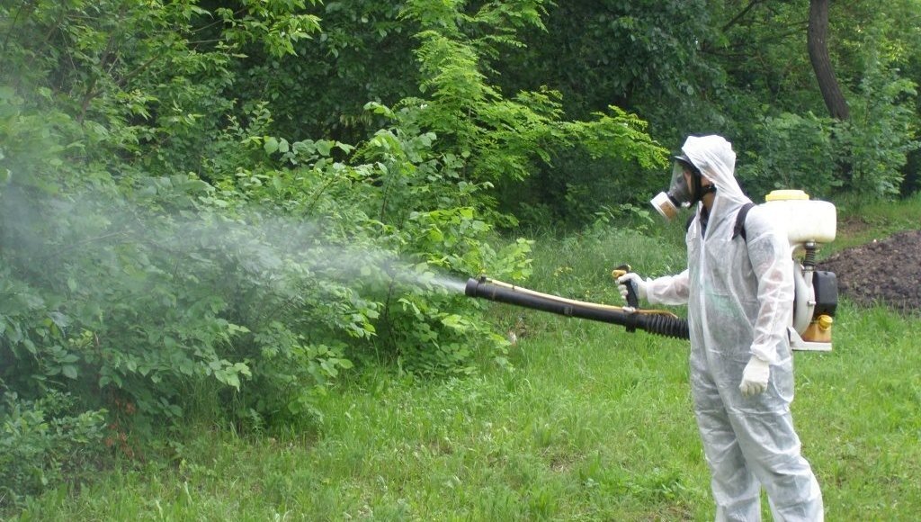    Фото: облсэс.рф