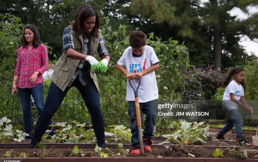   Мишель Обама помогает ребенку собирать сладкий картофель в огороде Белого дома.