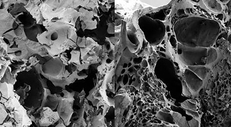   Salih Kavak et al. / PLoS ONE, 2026