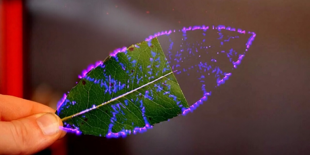 Геном как голографический компьютер: наследие Петра Гаряева