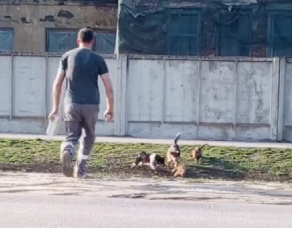     Фото: принтскрин с видео