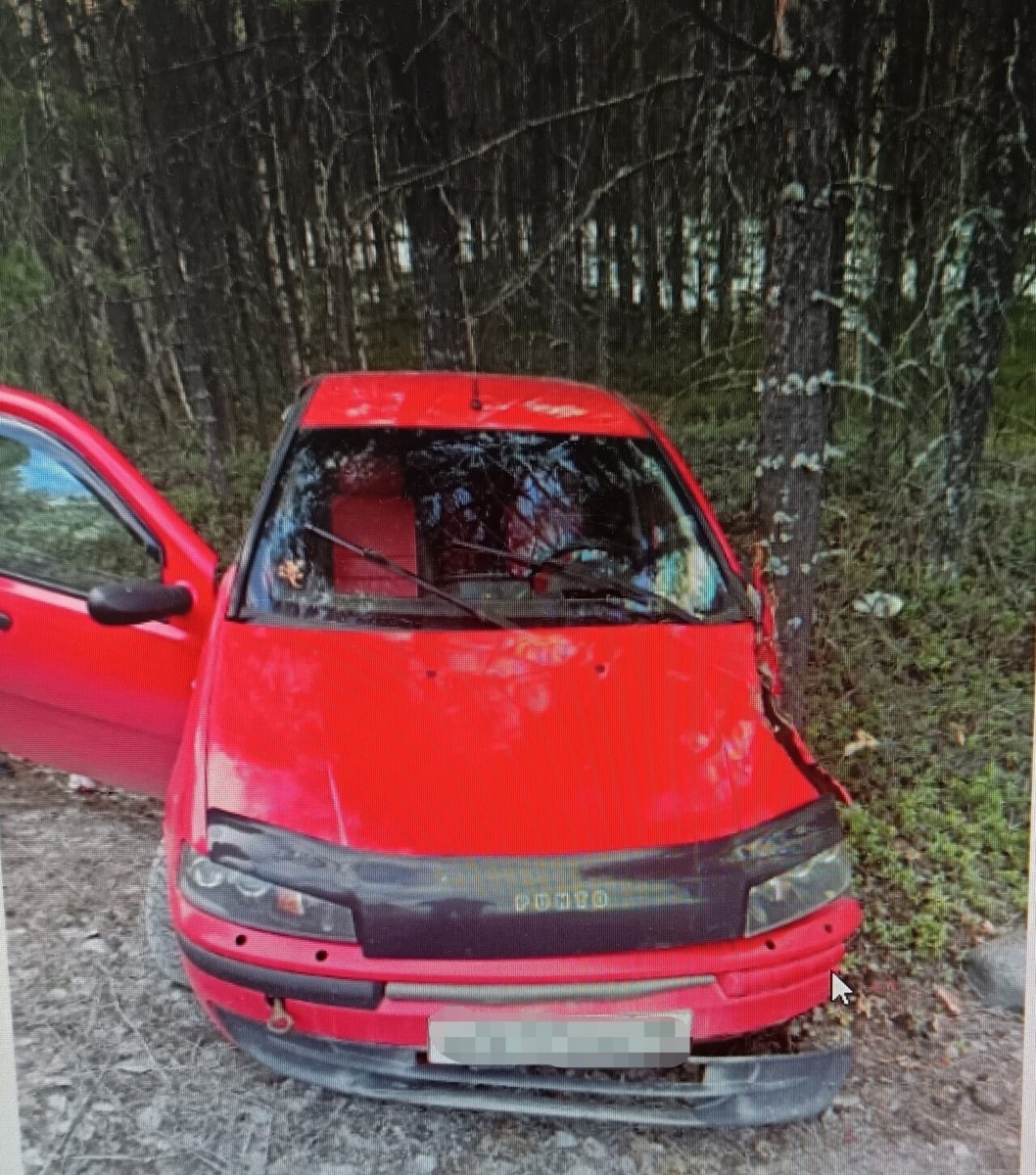    Фото: Госавтоинспекция Карелии / ВК