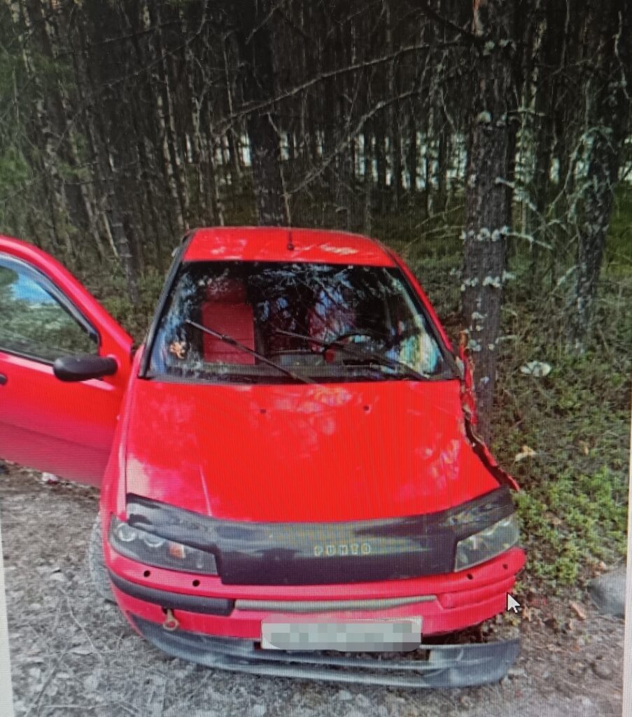    Фото: Госавтоинспекция Карелии /»ВК»