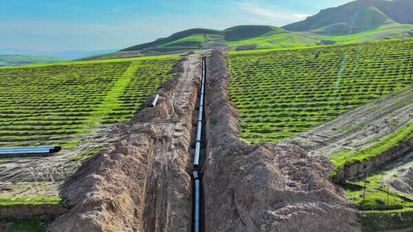    © Foto / Пресс-служба председателя Хатлонской области