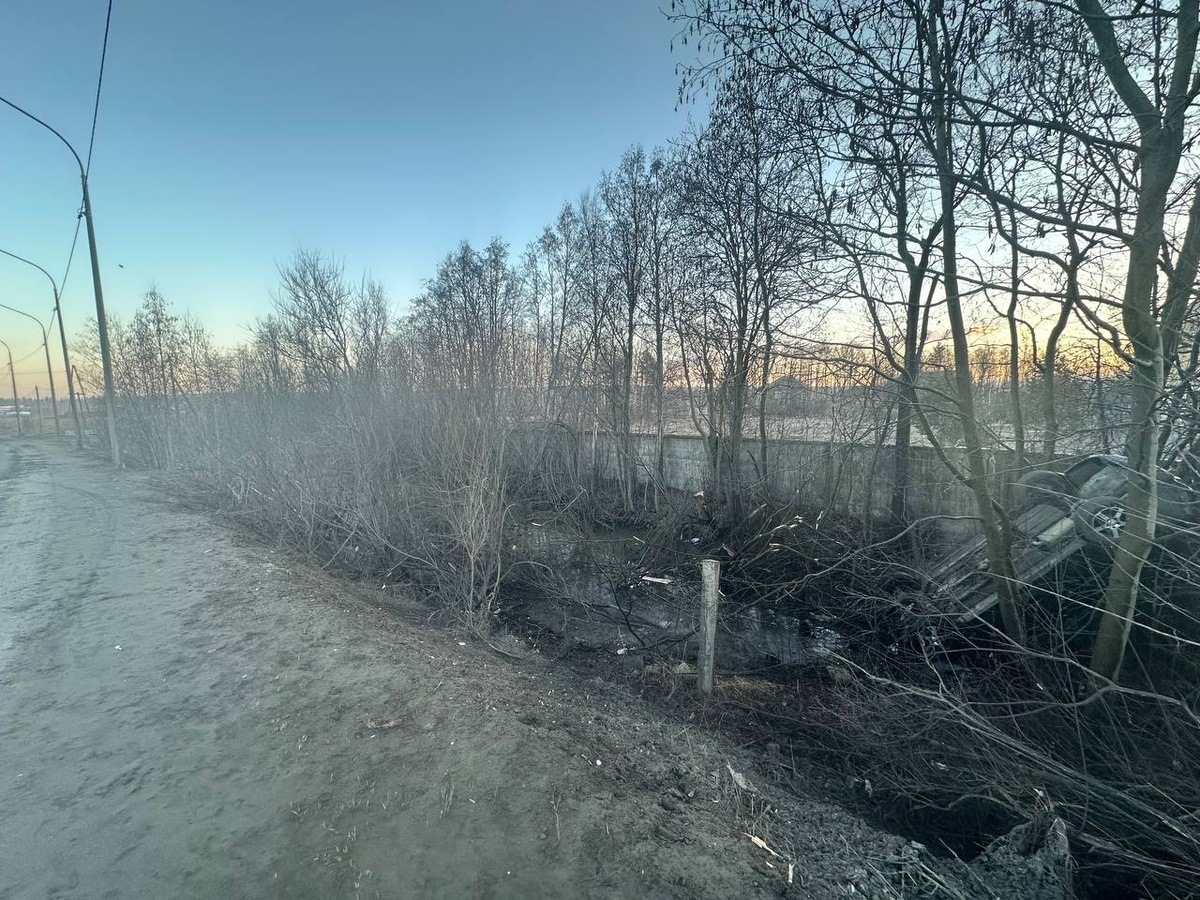     Госавтоинспекция Петрозаводска