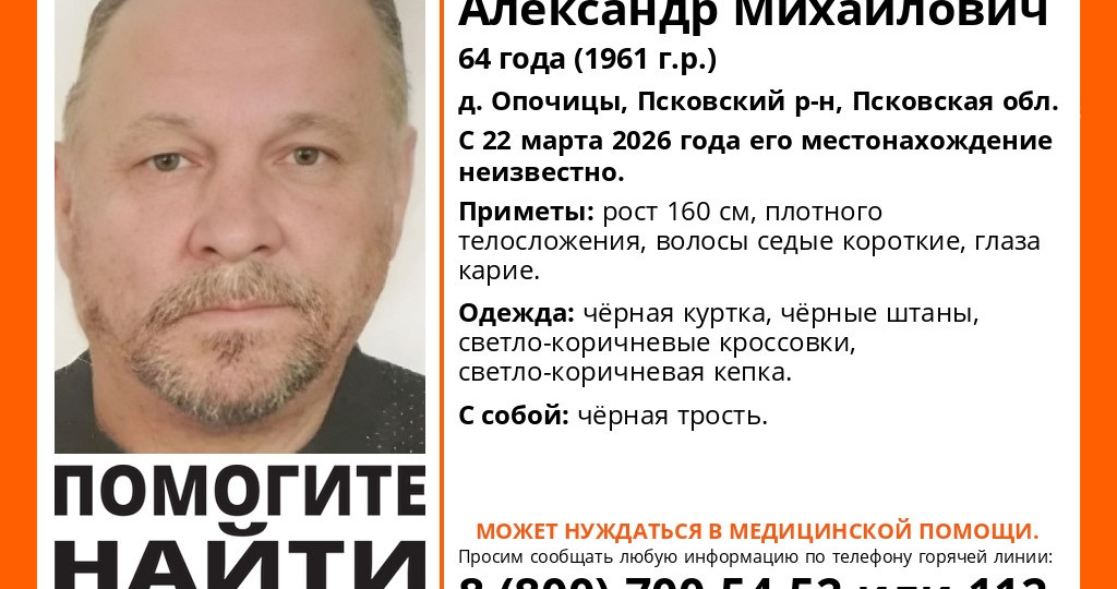 64-летний пенсионер с тростью пропал в Псковском районе