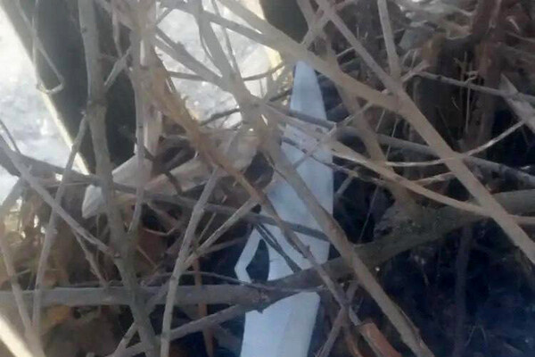 ГУ МВД России по Омской области   📷