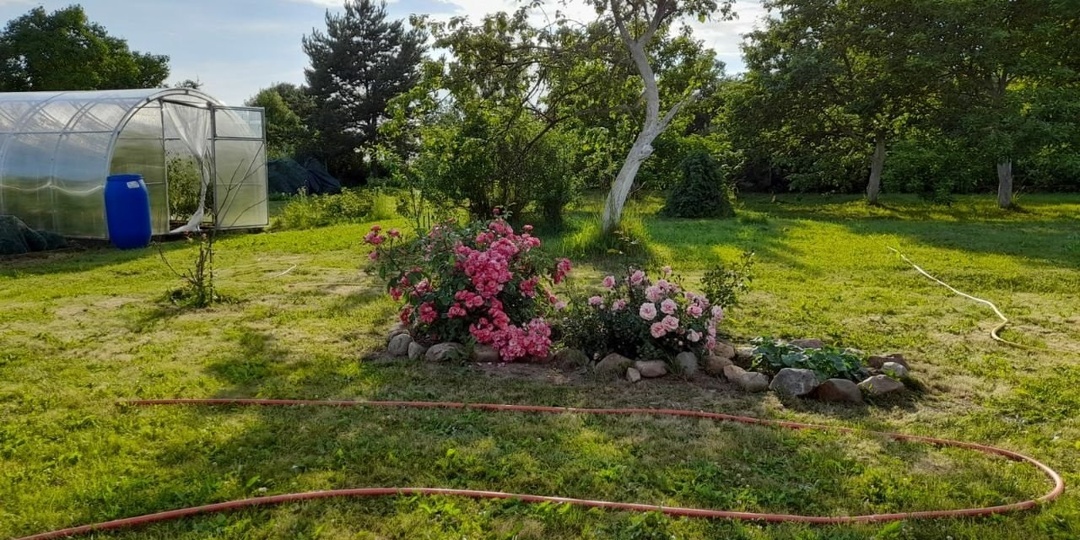 Плодородие почвы: ключевые моменты для садоводов и огородников