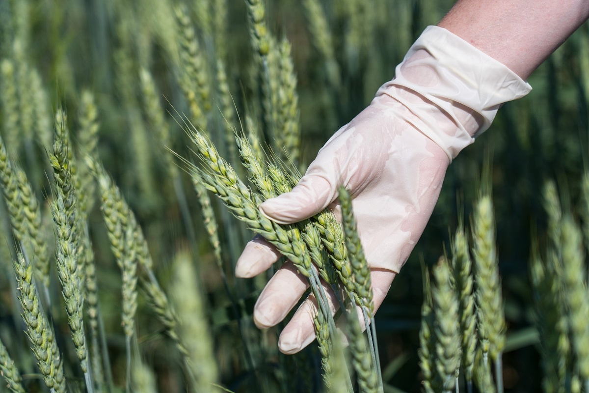 Фото: Александр Плонский / "Агроэксперт"
