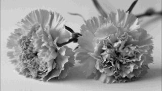    изображение сгенерировано с помощью Гига чат Юлия Виноградова