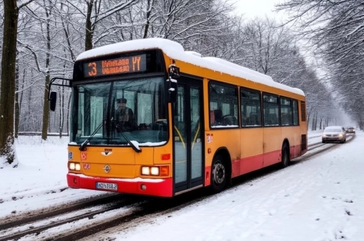    Колесо лопнуло на ходу у рейсового автобуса № 118 Ворсма-Павлово