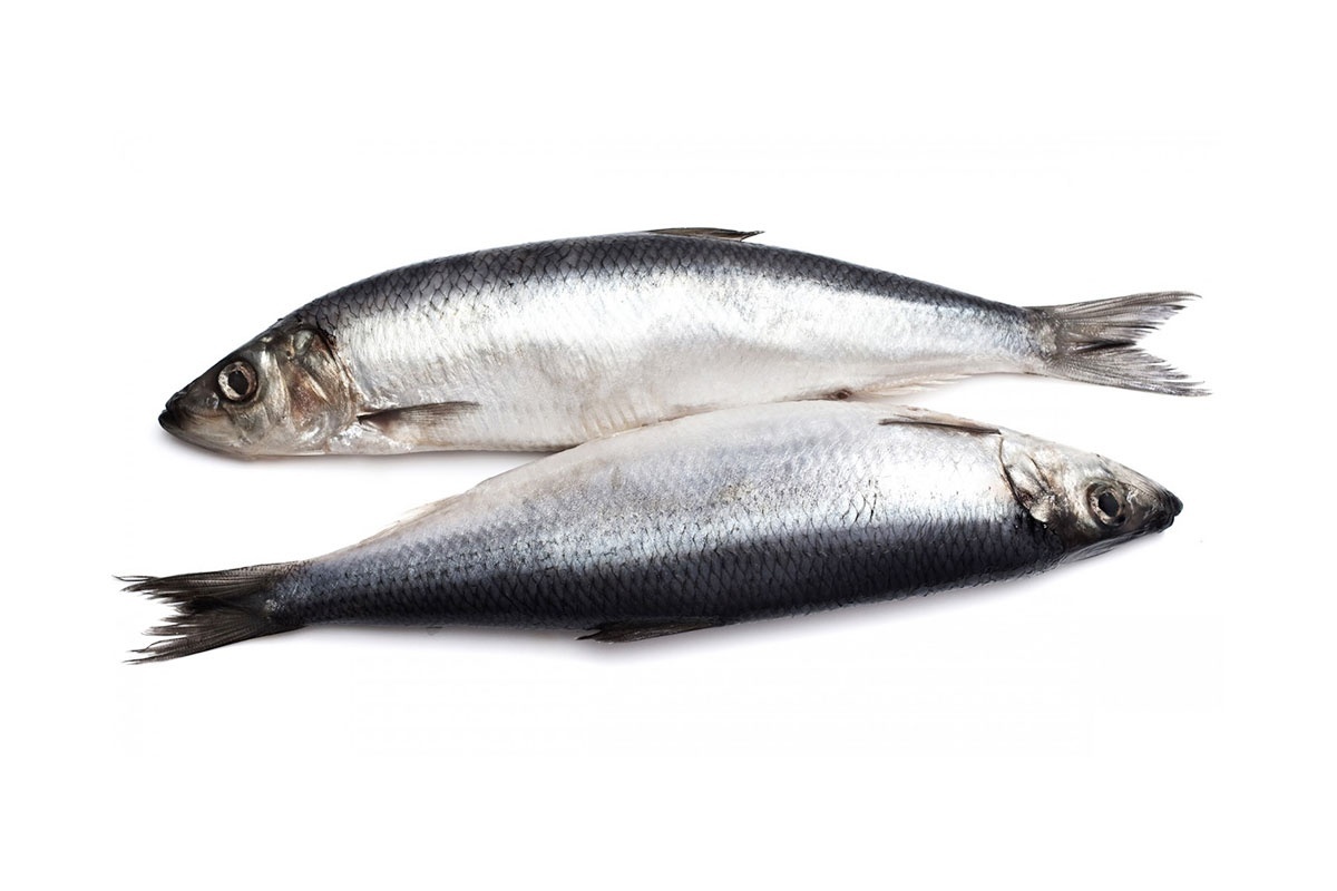 Фото с сайта: https://kalamajakas.ee/pood/heeringas-jahutatud/?link=3604b78627