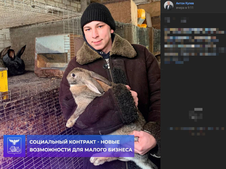     Белгородец начал разведение кроликов по соцконтракту, фото: скриншот со страницы vk.com/wall157229522_2208