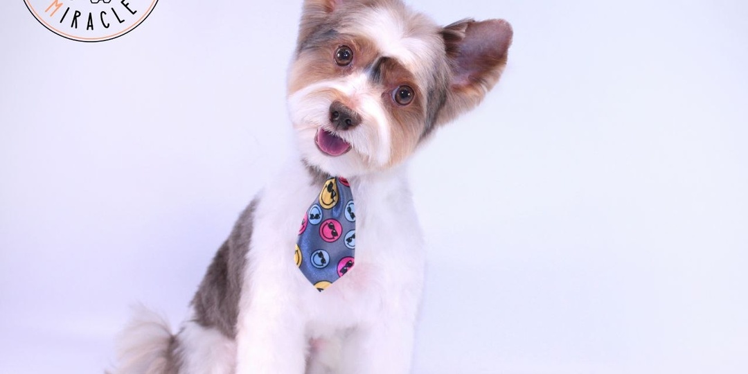 🌼 30 марта — День обнимания с солнцем