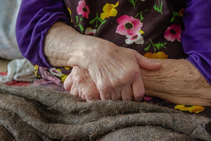 Обложка © Shutterstock / FOTODOM / Viktoriia Sumchenko