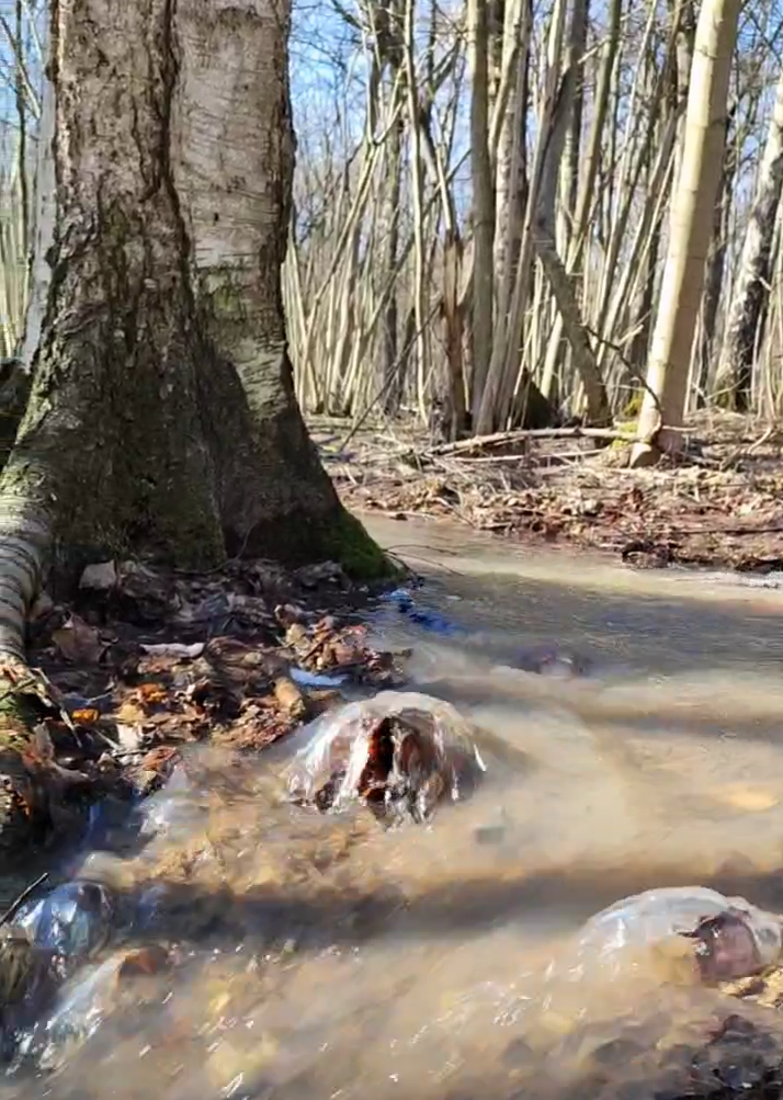 Фото: личный архив