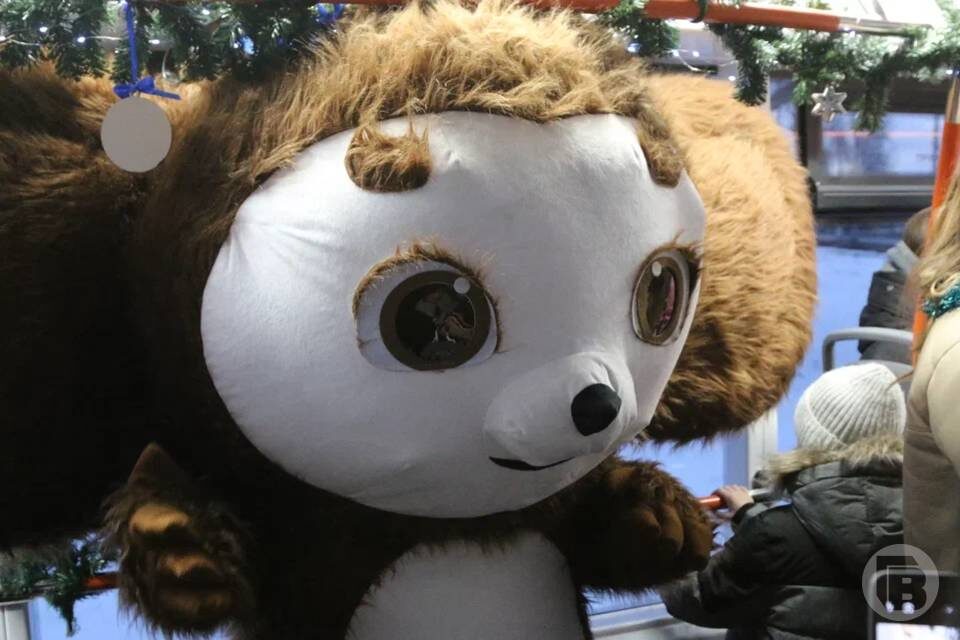    Фото: Дмитрий Рогулин / "Городские вести"