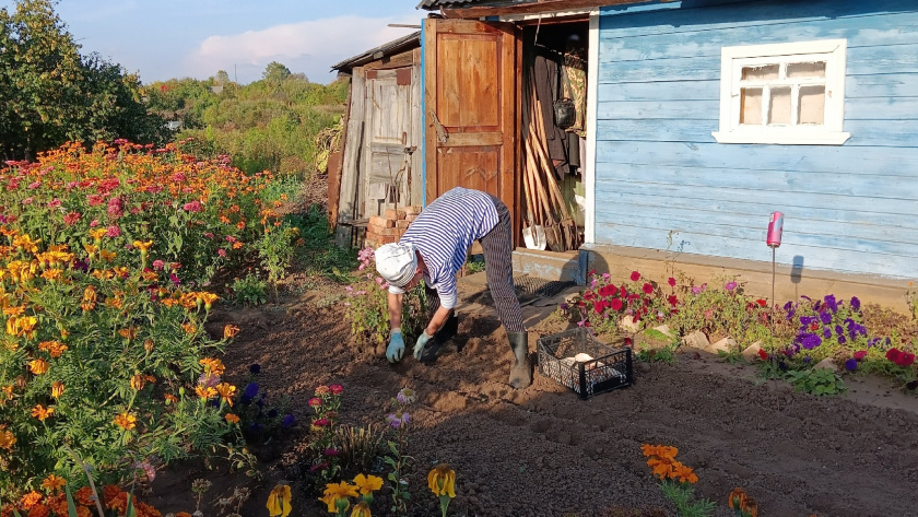    Фото progorod43.ru