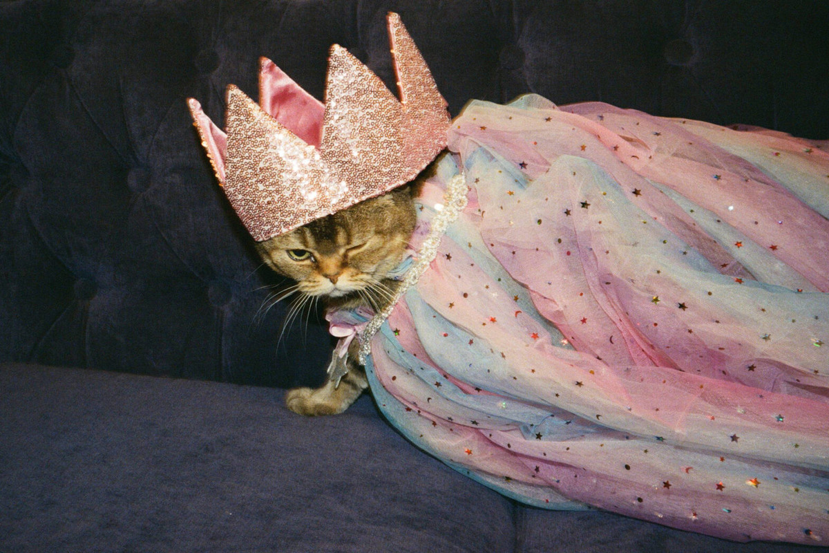    Фото: архивы пресс-служб