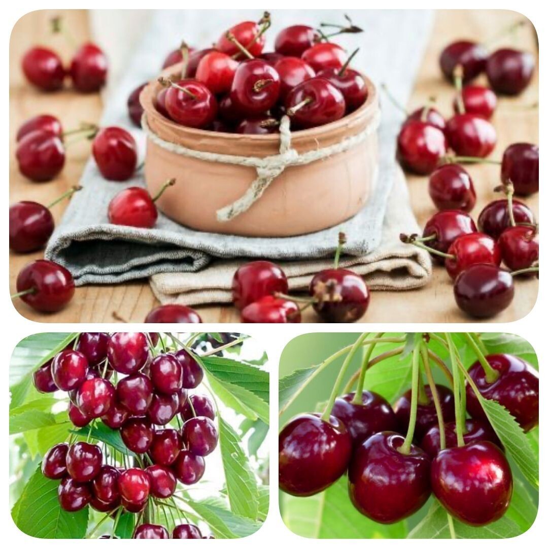 Фотография из интернета