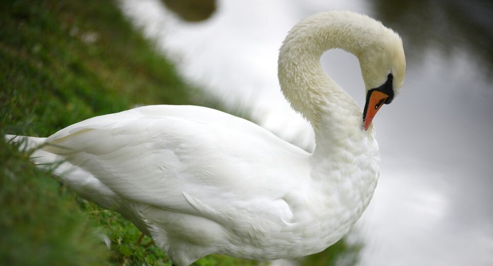    Медиасток.рф