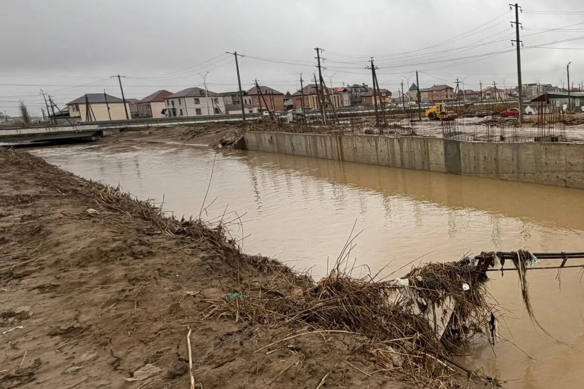     © Минприроды Дагестана. Магомед Магомедов