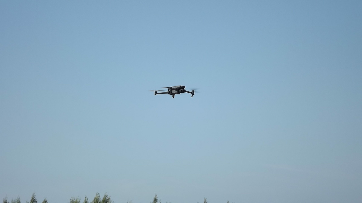 Фото: Neva.Today/Клава Назарова