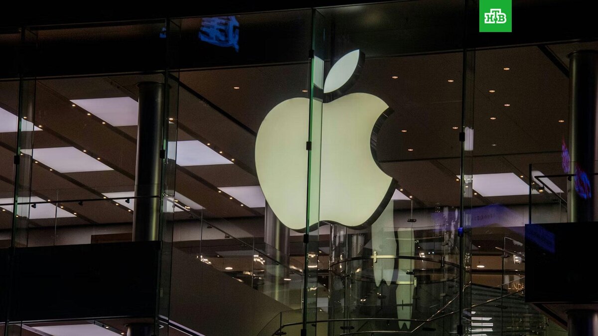    Фото: Kin Shing Lai / unsplash.com