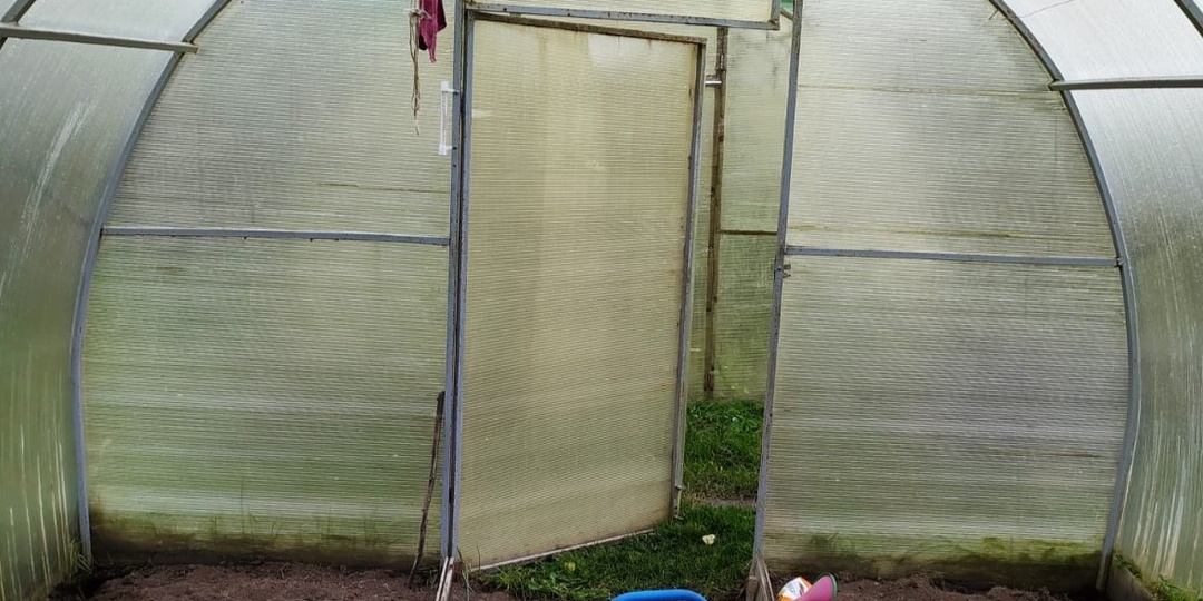 Холодная почва — главная ошибка при высадке рассады. Делаю 1 замер и не теряю урожай